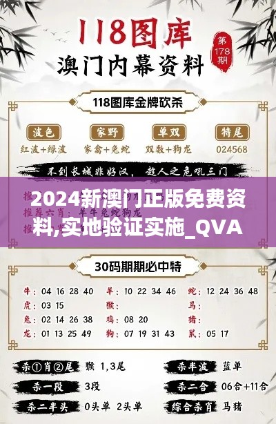 2024新澳门正版免费资料,实地验证实施_QVA44.352体验版