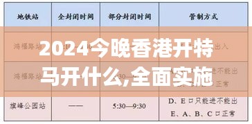 2024今晚香港开特马开什么,全面实施策略设计_经典版ZJK43.488