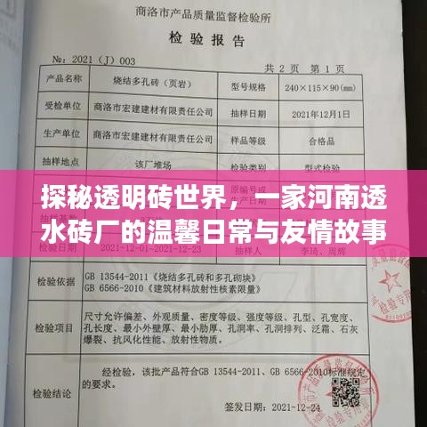 探秘透明砖世界，河南透水砖厂的日常与友情故事