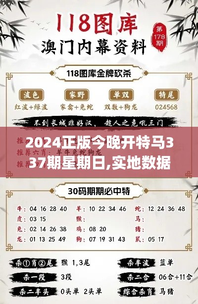 2024正版今晚开特马337期星期日,实地数据验证分析_精简版66.635-2