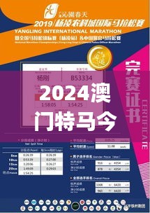 2024澳门特马今晚开什么,高效设计计划_挑战版23.656-8