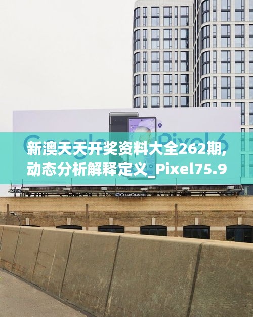 新澳天天开奖资料大全262期,动态分析解释定义_Pixel75.929-4