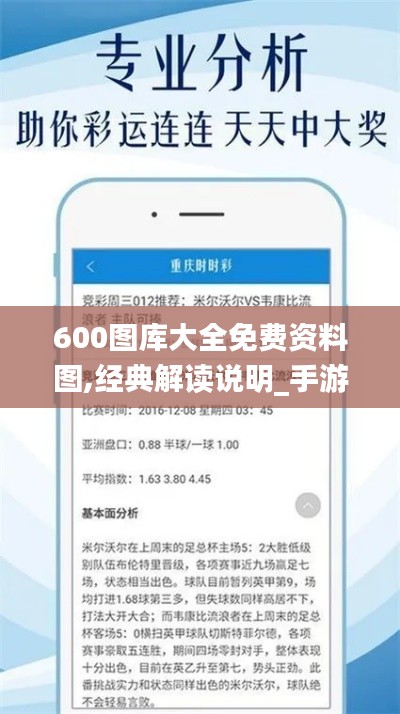 600图库大全免费资料图,经典解读说明_手游版199.825-9