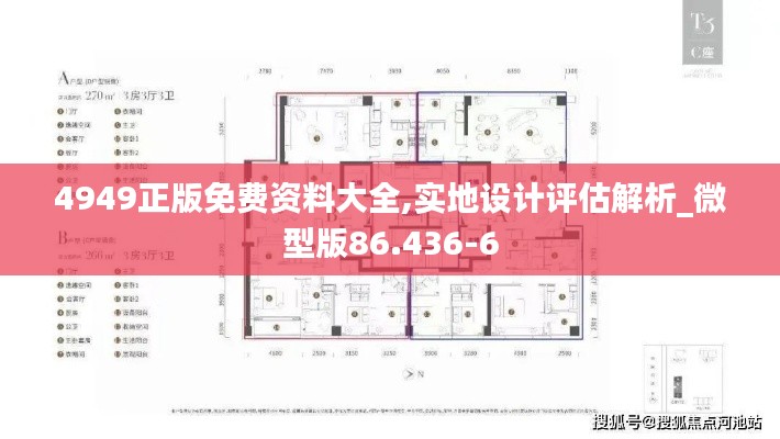 4949正版免费资料大全,实地设计评估解析_微型版86.436-6