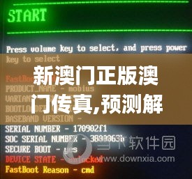 新澳门正版澳门传真,预测解读说明_精英版88.722-8