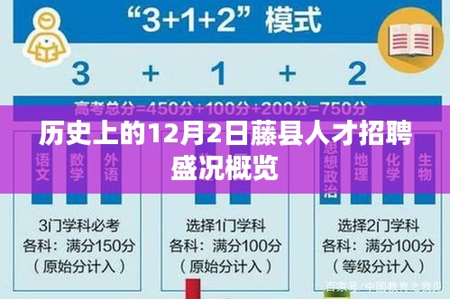 12月2日藤县人才招聘盛会回顾