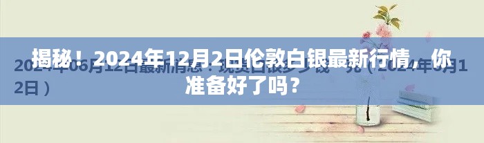 揭秘，伦敦白银最新行情预测（2024年12月2日）重磅揭晓！你准备好了吗？