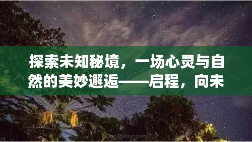 启程探索未知秘境，心灵与自然的奇妙相遇，向未来的自然之旅