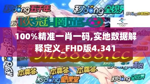 100%精准一肖一码,实地数据解释定义_FHD版4.341