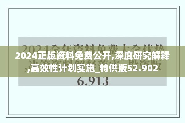 2024正版资料免费公开,深度研究解释,高效性计划实施_特供版52.902