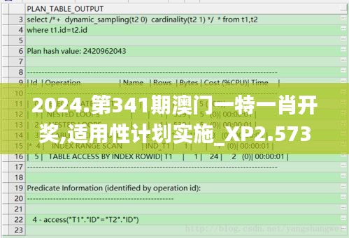 2024.第341期澳门一特一肖开奖,适用性计划实施_XP2.573