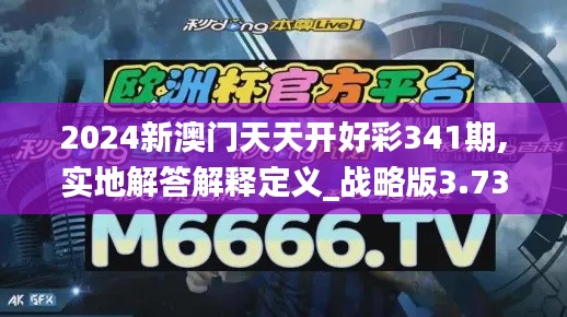 2024新澳门天天开好彩341期,实地解答解释定义_战略版3.732