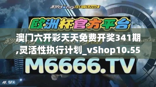 澳门六开彩天天免费开奖341期,灵活性执行计划_vShop10.551