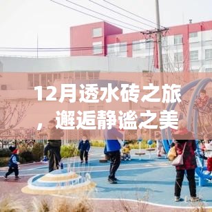 12月透水砖之旅，探寻静谧之美与品质背后的故事