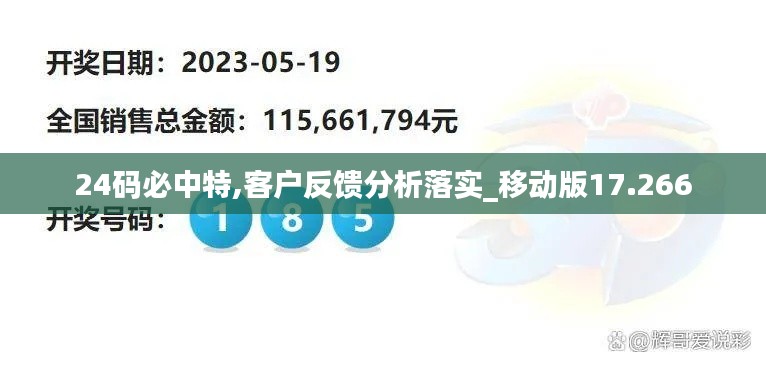 24码必中特,客户反馈分析落实_移动版17.266