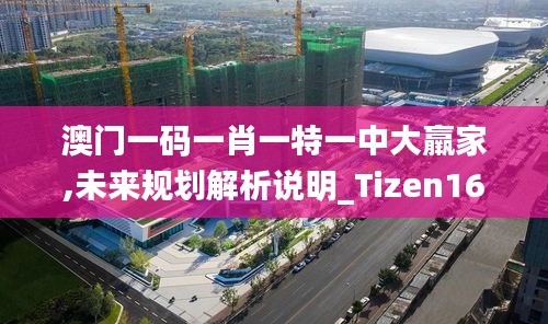 澳门一码一肖一特一中大羸家,未来规划解析说明_Tizen16.826