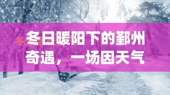 冬日暖阳下的鄞州奇遇，心桥搭建的温暖奇缘