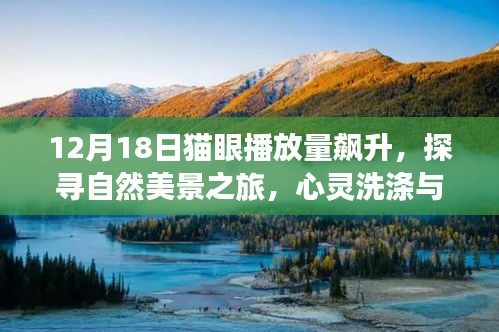 探寻自然美景之旅，心灵洗涤与宁静的力量，猫眼播放量飙升