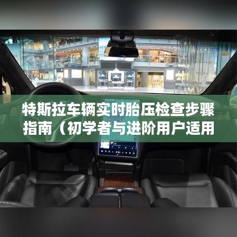 特斯拉车辆实时胎压检查全攻略，初学者与进阶用户适用