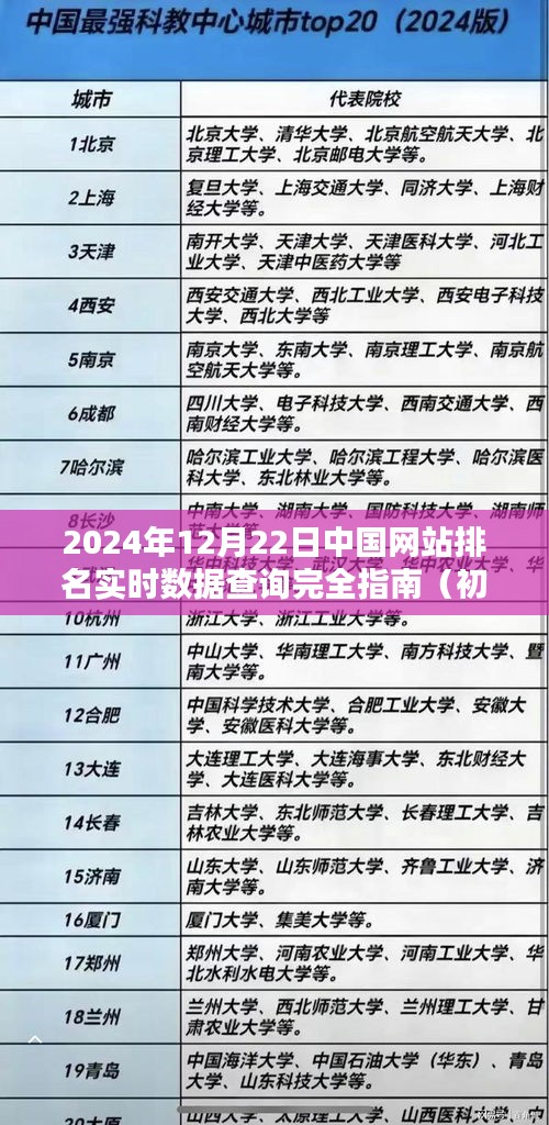 2024年12月22日中国网站排名实时数据查询完全指南，适合初学者与进阶用户