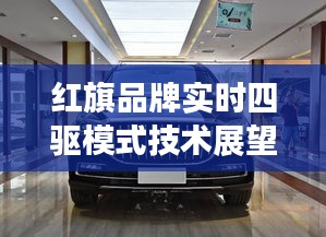 红旗品牌实时四驱技术展望与深度评测，展望实时四驱系统的未来，2024年实时四驱系统评测报告