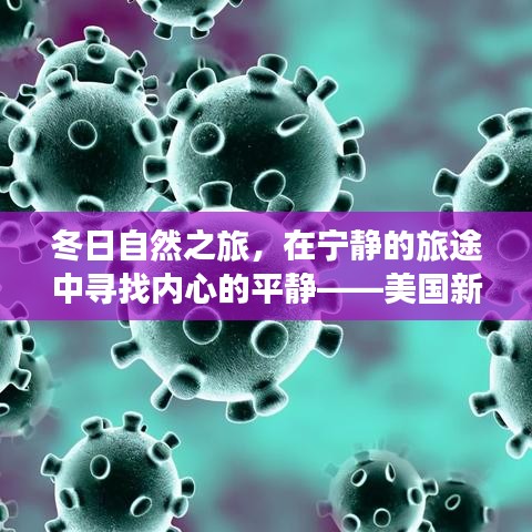 冬日自然之旅背后的故事，美国新冠肺炎实时统计与内心平静的追寻（12月22日更新）