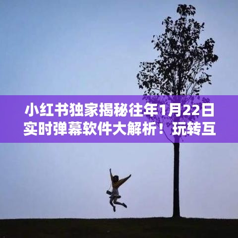 小红书独家揭秘，历年一月廿二日实时弹幕软件深度解析，玩转互动新纪元！