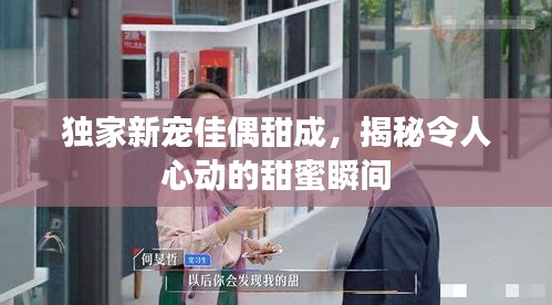 独家新宠佳偶甜成，揭秘令人心动的甜蜜瞬间