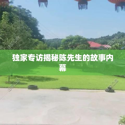 独家专访揭秘陈先生的故事内幕