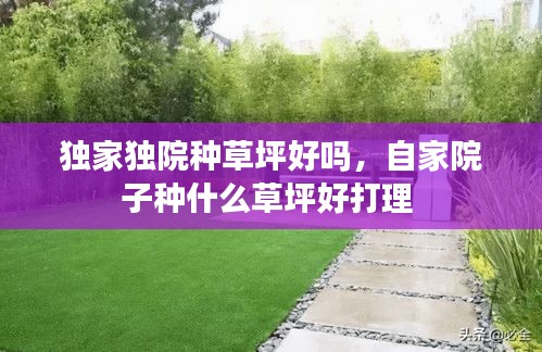 独家独院种草坪好吗，自家院子种什么草坪好打理 