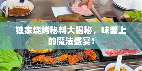 独家烧烤秘料大揭秘，味蕾上的魔法盛宴！