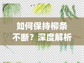 如何保持柳条不断？深度解析柳树生长管理与养护技巧