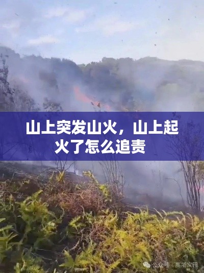 山上突发山火，山上起火了怎么追责 