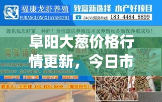 阜阳大葱价格行情更新，今日市场最新消息速递