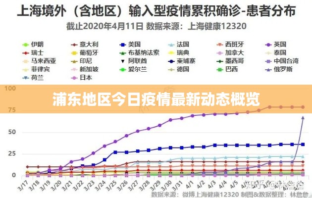 浦东地区今日疫情最新动态概览