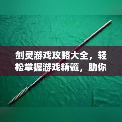 剑灵游戏攻略大全，轻松掌握游戏精髓，助你成为顶尖高手之巅