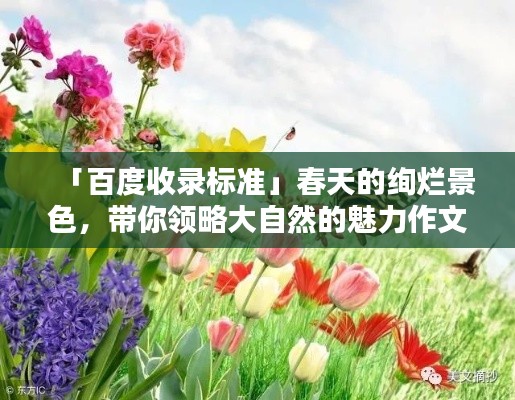 堂堂正正