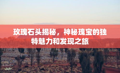 玫瑰石头揭秘，神秘瑰宝的独特魅力和发现之旅
