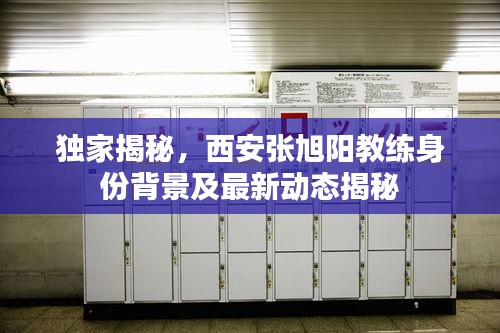 独家揭秘，西安张旭阳教练身份背景及最新动态揭秘
