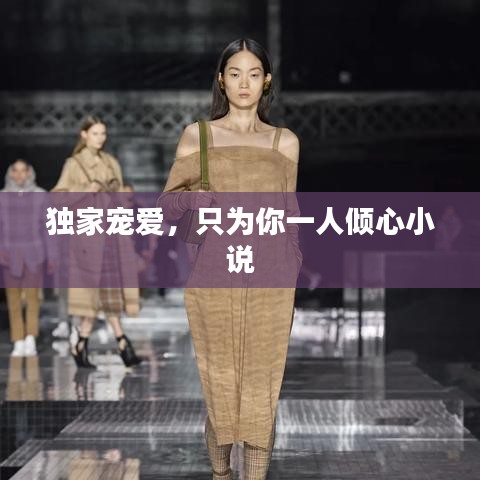 独家宠爱，只为你一人倾心小说