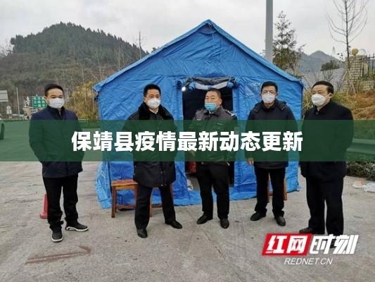 保靖县疫情最新动态更新