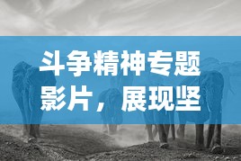 斗争精神专题影片，展现坚韧与勇气，影像力量震撼心灵