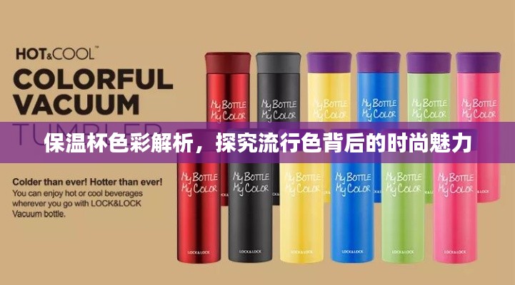 保温杯色彩解析，探究流行色背后的时尚魅力