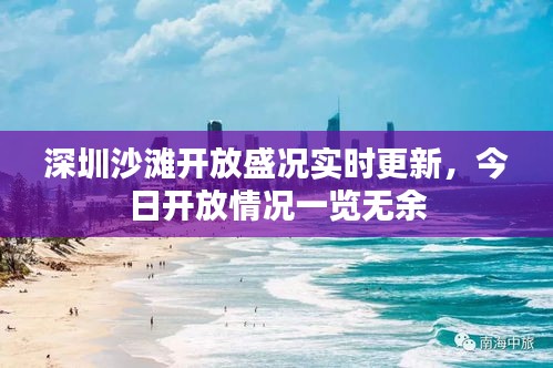 深圳沙滩开放盛况实时更新，今日开放情况一览无余