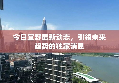 今日宜野最新动态，引领未来趋势的独家消息