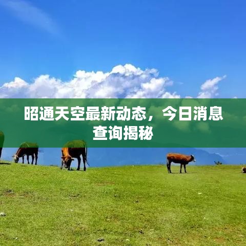 昭通天空最新动态，今日消息查询揭秘