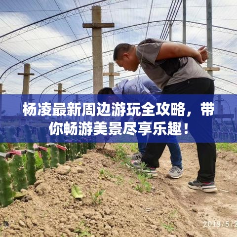杨凌最新周边游玩全攻略，带你畅游美景尽享乐趣！
