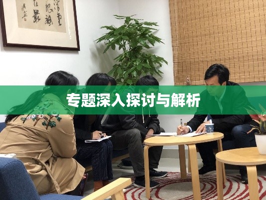 专题深入探讨与解析