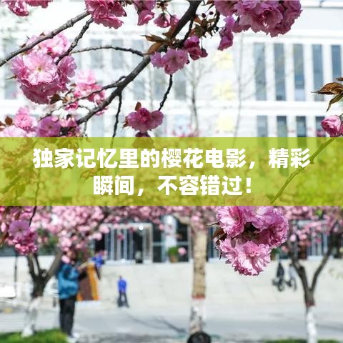 独家记忆里的樱花电影，精彩瞬间，不容错过！