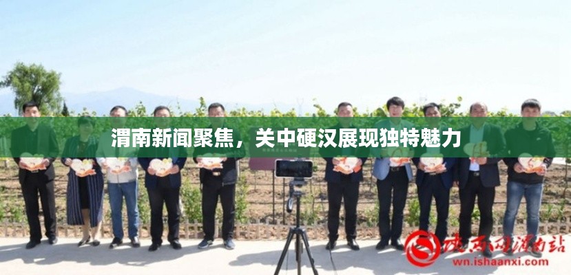 渭南新闻聚焦，关中硬汉展现独特魅力